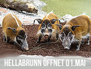 Hellabrunn ab 1. Mai wieder für Besucher geöffnet (©Foto: Marc Müller. Tierpark Hellabrunn)